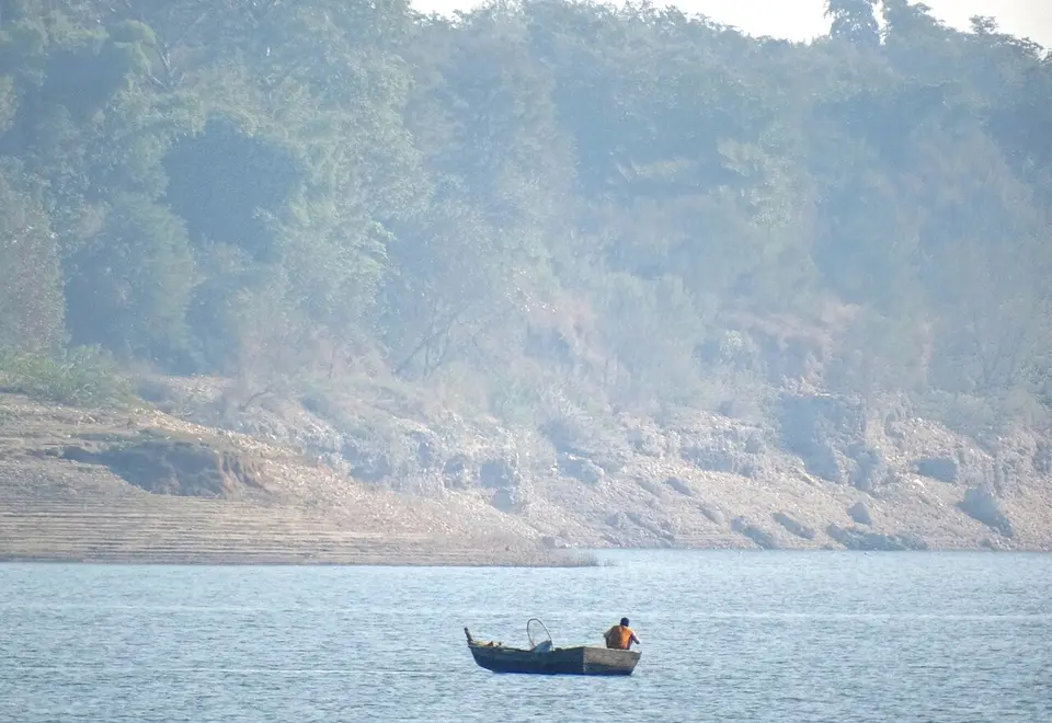 A small boat on the Pong Dam lake near Dehra, below a wooded shore