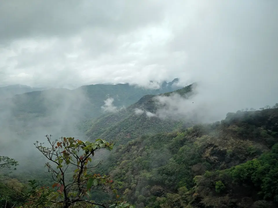 Forested hills near Jawali, half hidden in low cloud